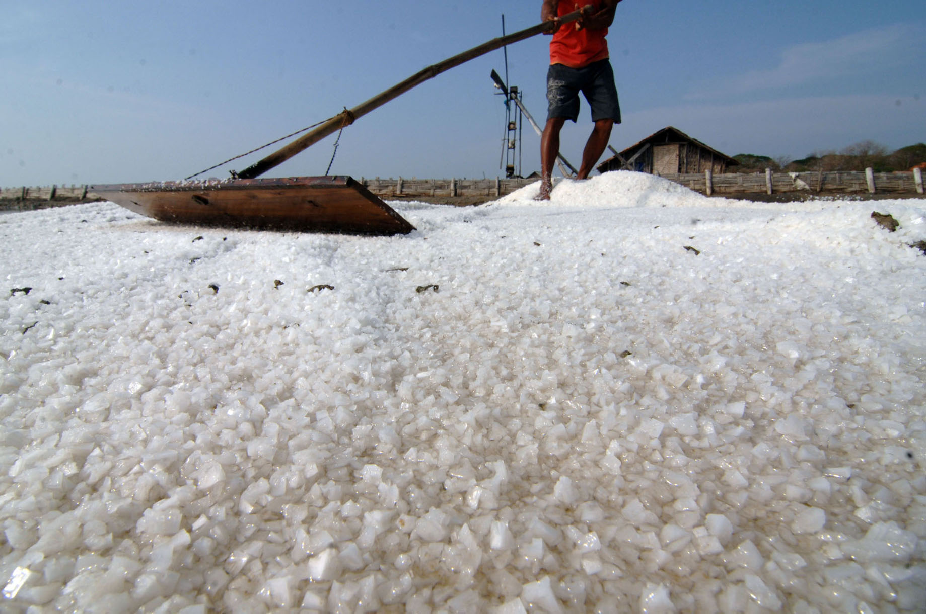 Petani garam. (Foto: Antara)