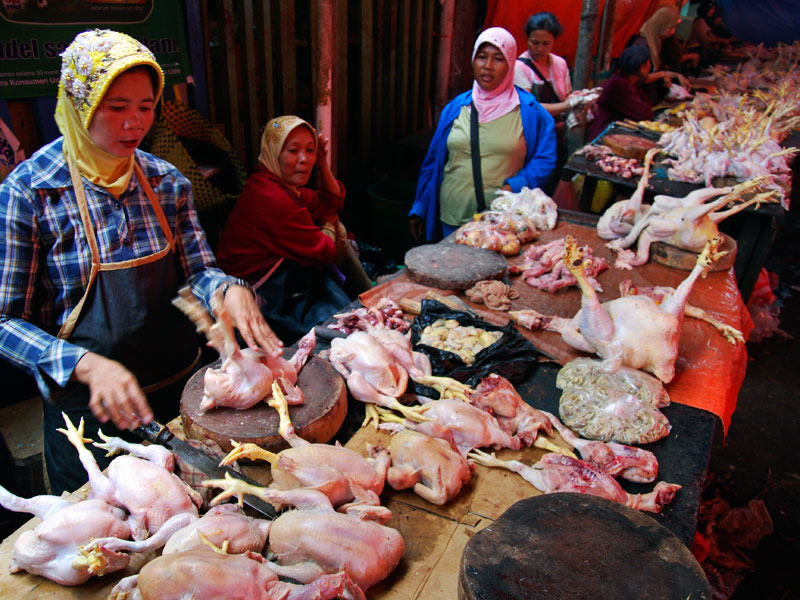 ILUSTRASI: Daging ayam beredar di pasaran. (foto: dok ngopibareng.id)