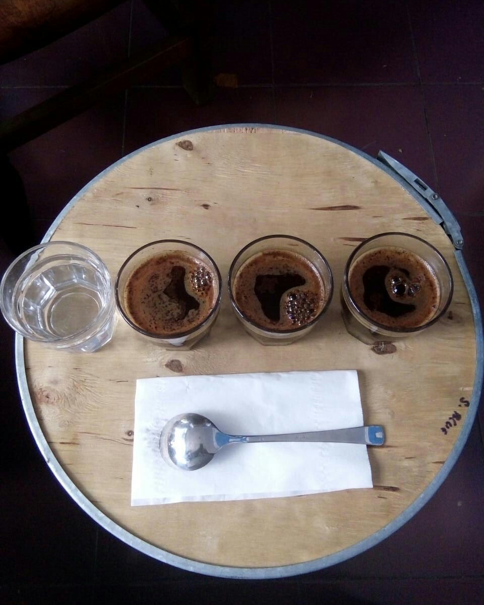 Kopi cupping, arabika Tanggo Karlos, Karangploso, dicoba dites citarasanya. foto:widikamidi