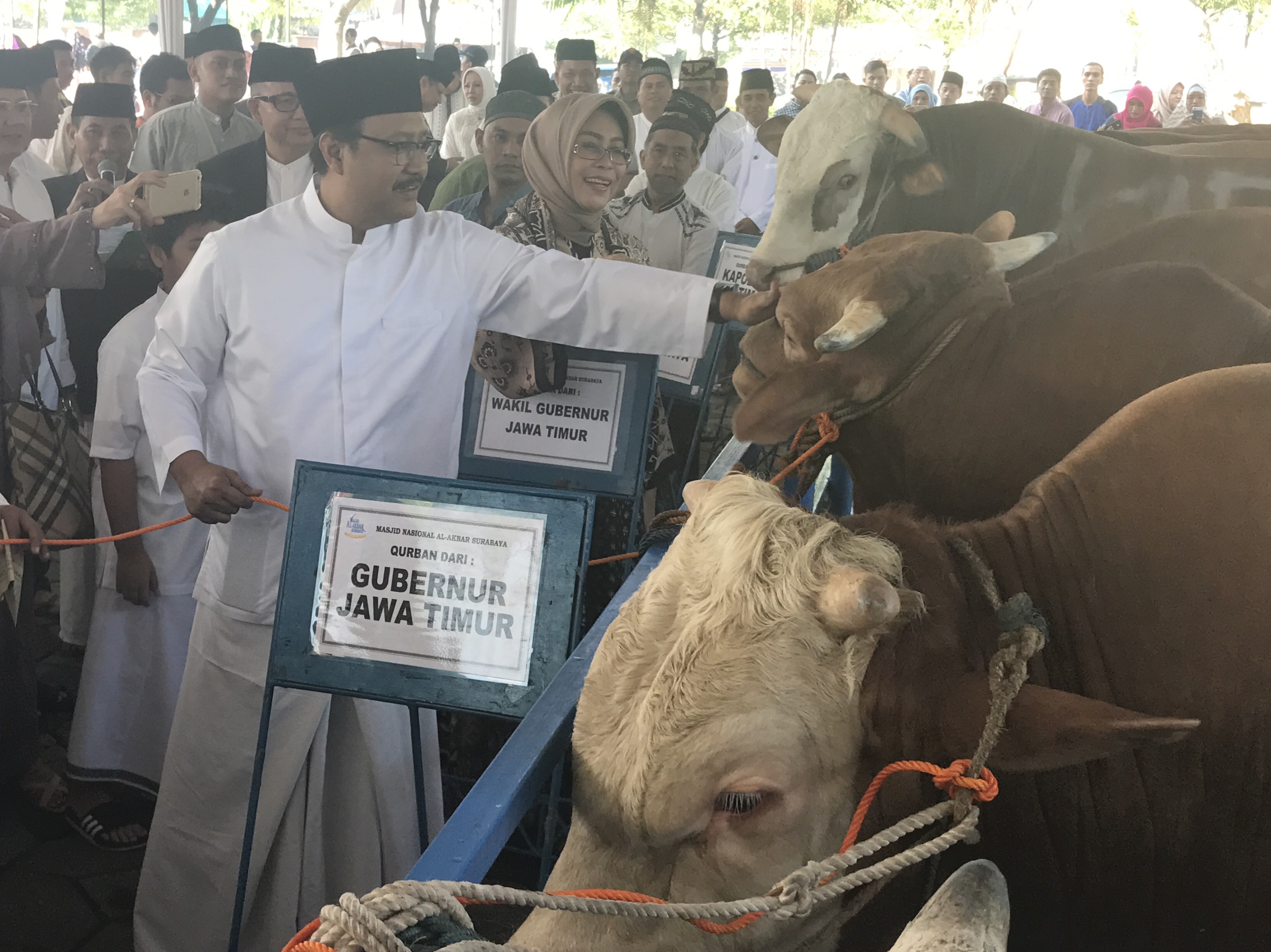 Wagub Jatim Saifullah Yusuf saat memberikan hewan kurban di Masjid Al Akbar