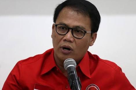 Ahmad Basarah, Wasekjen DPP DPIP