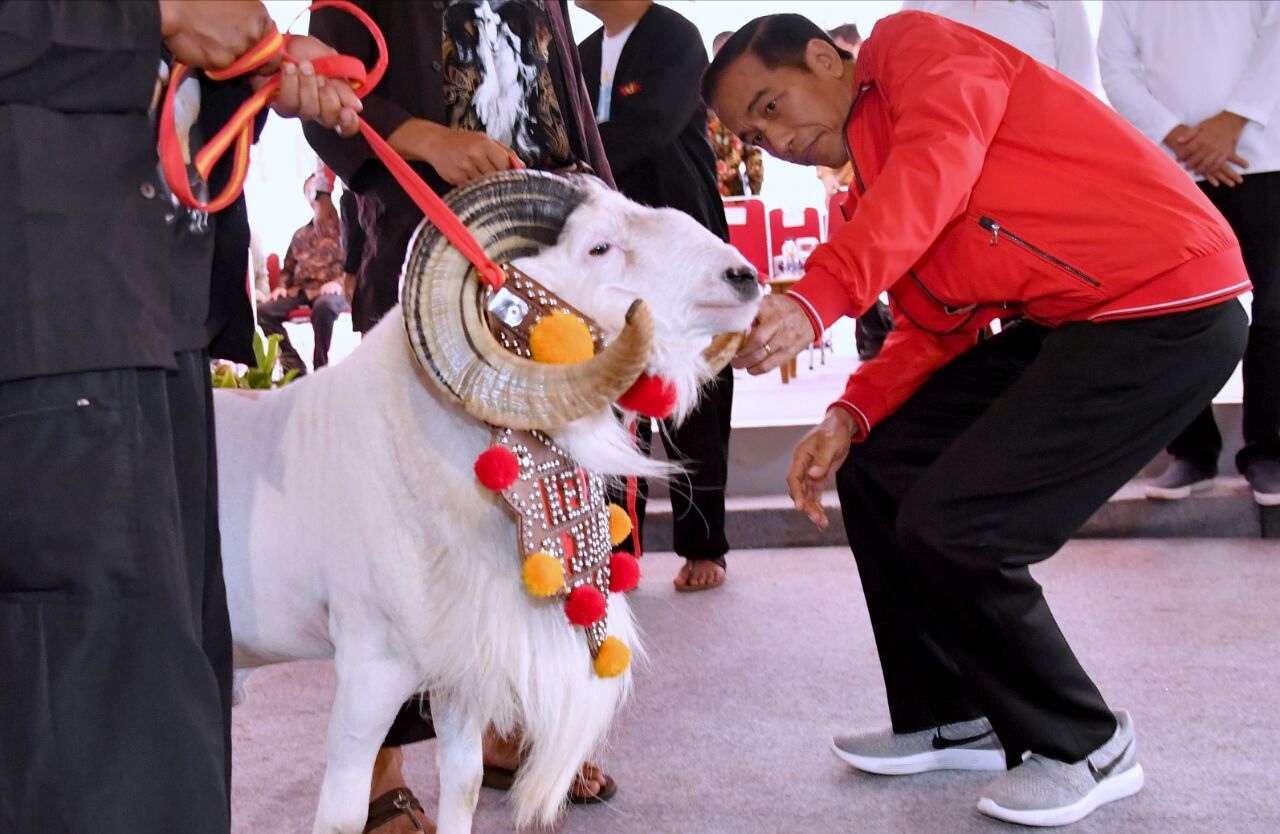 Presiden Joko Widodo menghadiri Jambore Peternakan Nasional 2017 di Bumi Perkemahan Cibubur, Jakarta Timur, Minggu, 24 September 2017. (Foto: Biro Pers/Setpres) 