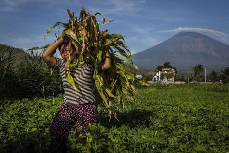 Ilustrasi Gunung Agung