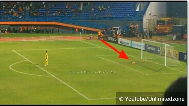 Gambar Kucing tiduran di gawang Persela terekam kamera.