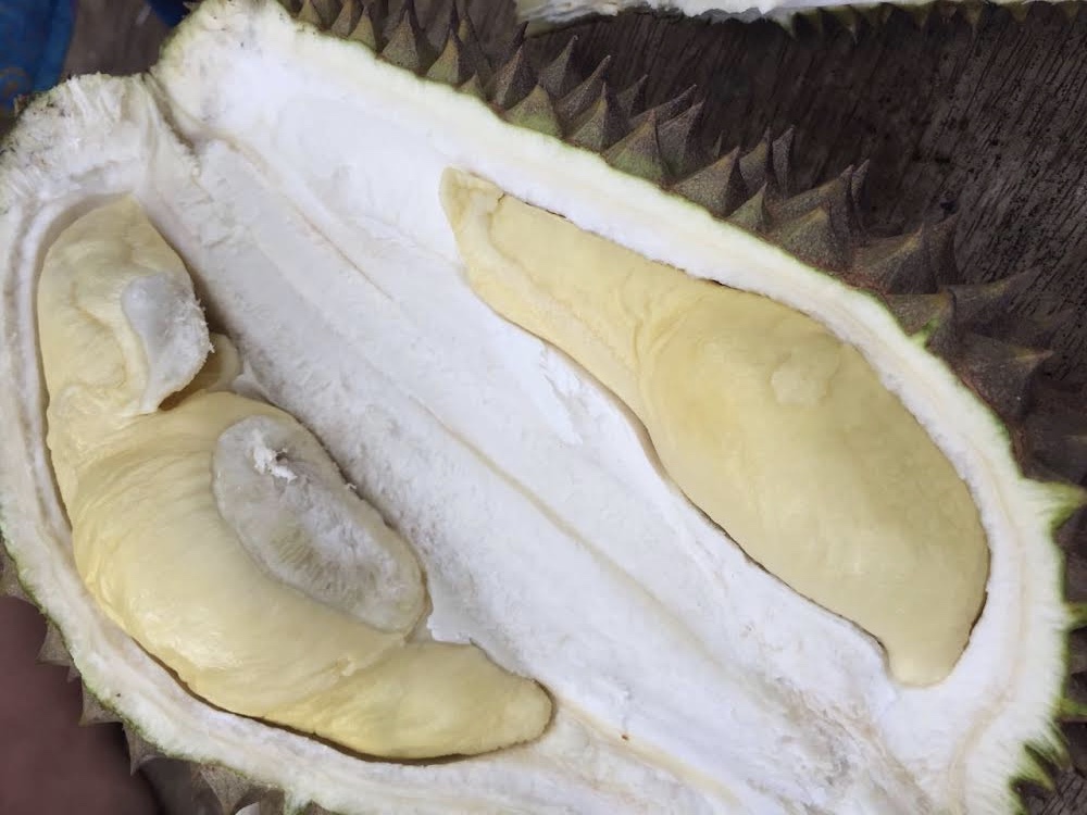 Durian Petruk, di Gunung Kidul Ini Salah Satu yang Terenak