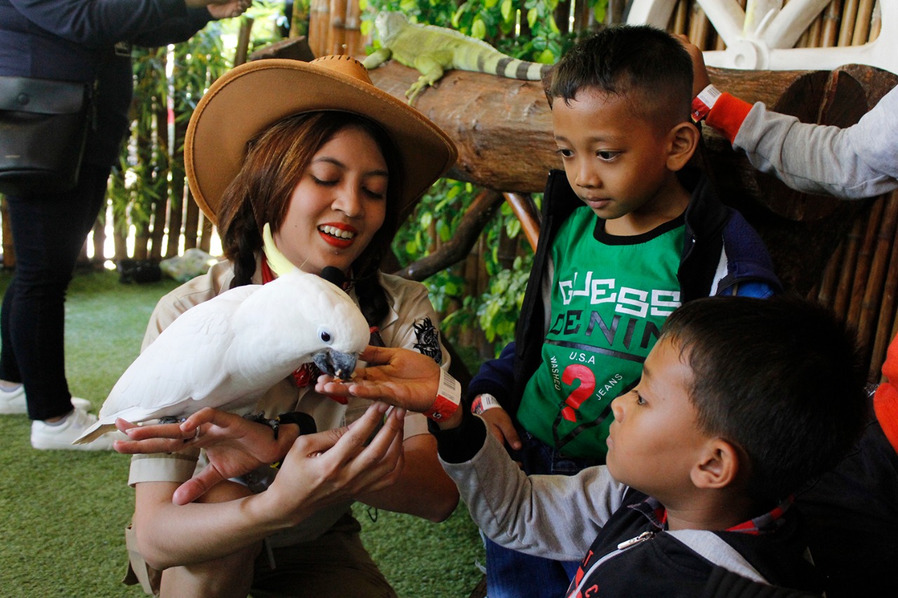 Dini salah seorang petugas KBS saat memberikan edukasi kepada pengunjung anak-anak, di Breakfast with Elephant. (foto: hrs/ngopibareng)