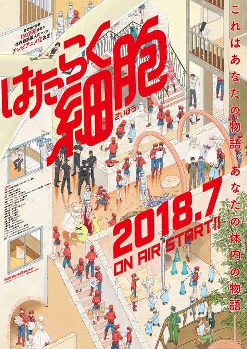 visual key promo dari anime Hataraku no Saibou (Cells at Works) (source: natalie.mu)