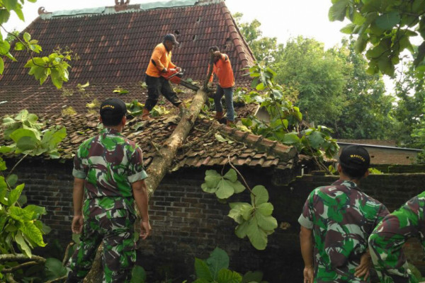 Relawan BPBD Magetan memotong pohon yang menimpa rumah warga di Desa Tapen, Kecamatan Lembeyan, Kabupaten Magetan, Jawa Timur, Minggu (28/1). (Foto: Dokumentasi BPBD Magetan)