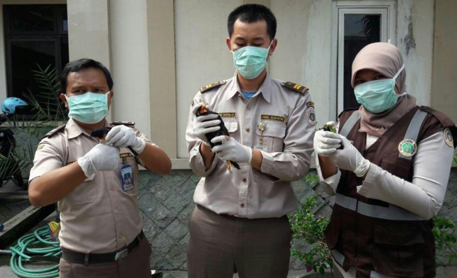 Petugas Balai Besar Karantina Pertanian Surabaya menunjukkan barang bukti hasil penyelundupan. (Foto: Humas BBKP Surabaya)