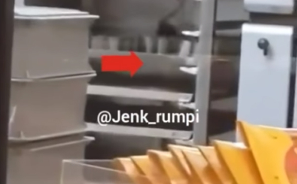 Dua ekor tikus berkeliaran di dapur Breadtalk. (Foto: youtube)