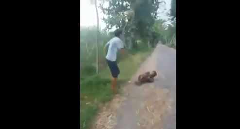 Tangkapan layar, seorang pria (waras) hajar orang dengan gangguan jiwa karena dilempar kayu. (Foto: Youtube) 