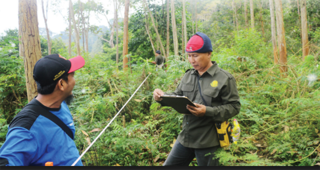 Mencari jejak banteng, menghitung populasi, aktivitas monitoring untuk mengetahui pergerakan kawanan. foto:bbksdajatim