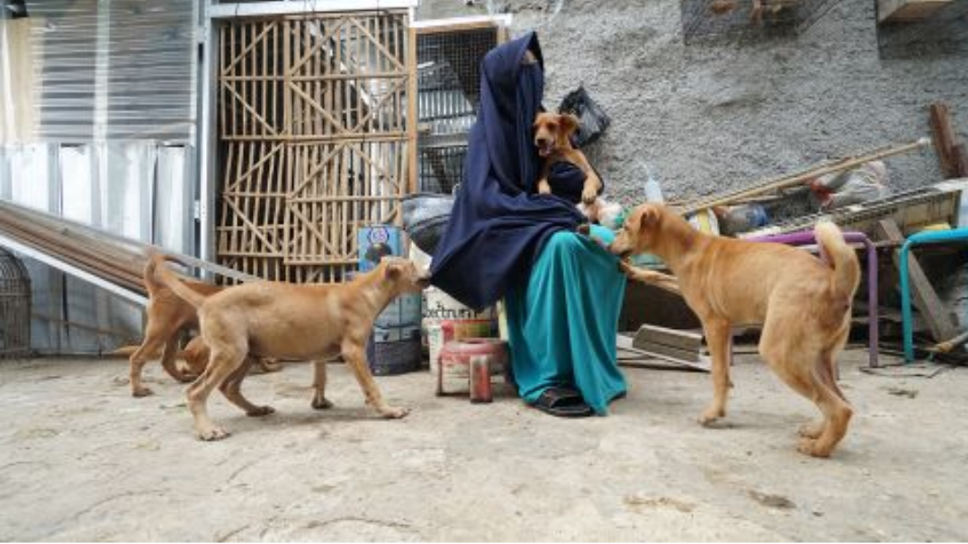 Hesti bersama beberapa ekor anjing yang ia rawat.