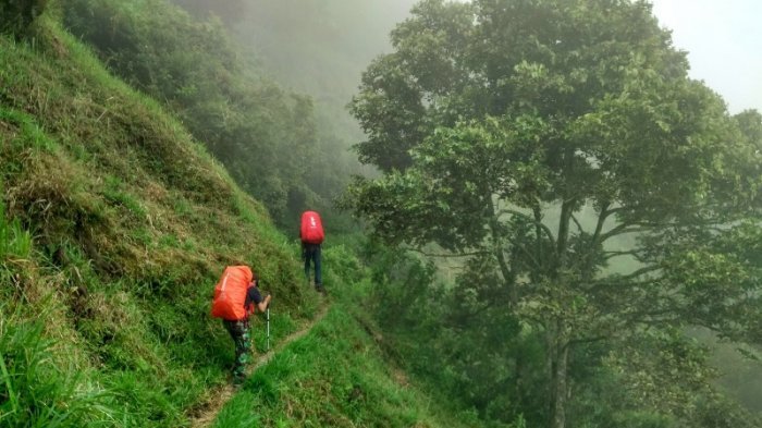 Jalur pendakian Gunung Lawu. (Foto: Tribun)