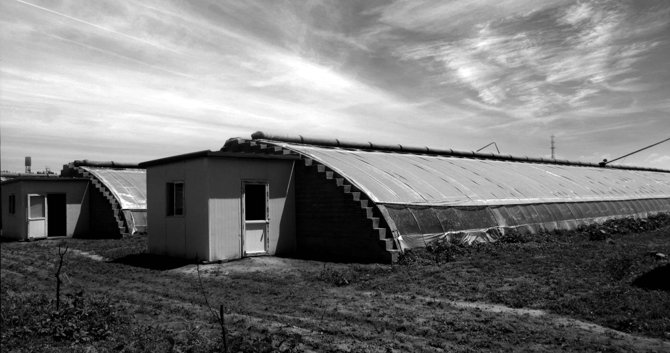 Green house di China. 