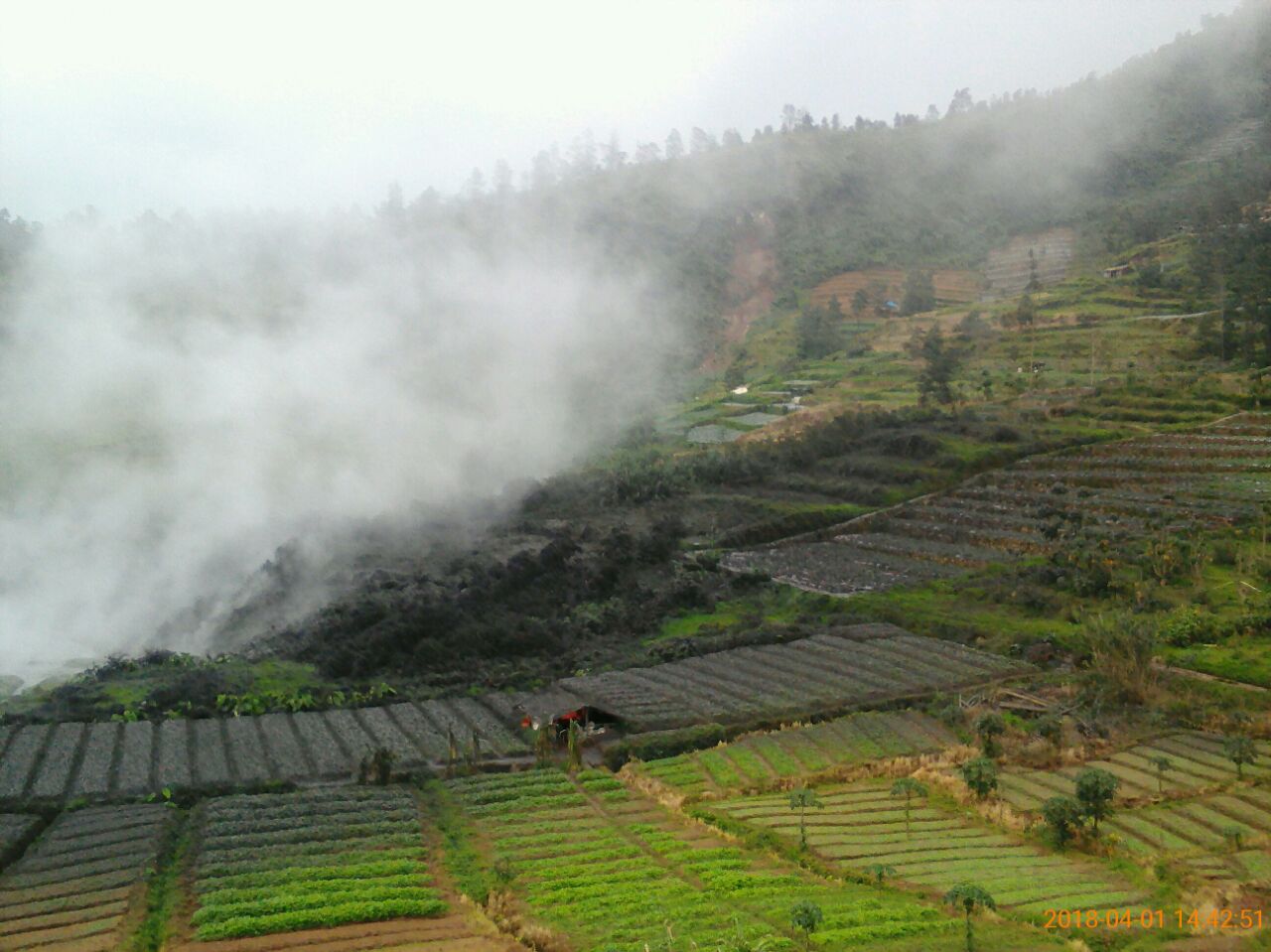 Asap akibat letusan freatik di kawah Sileri di Kompleks Gunung Api Dieng. (Foto: BNPB)