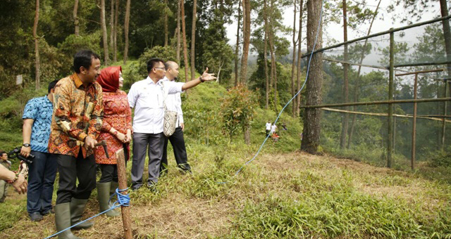 Sebuah aktivias pelepasan Elang Jawa kembali ke habitat. foto:istimewa bbksda