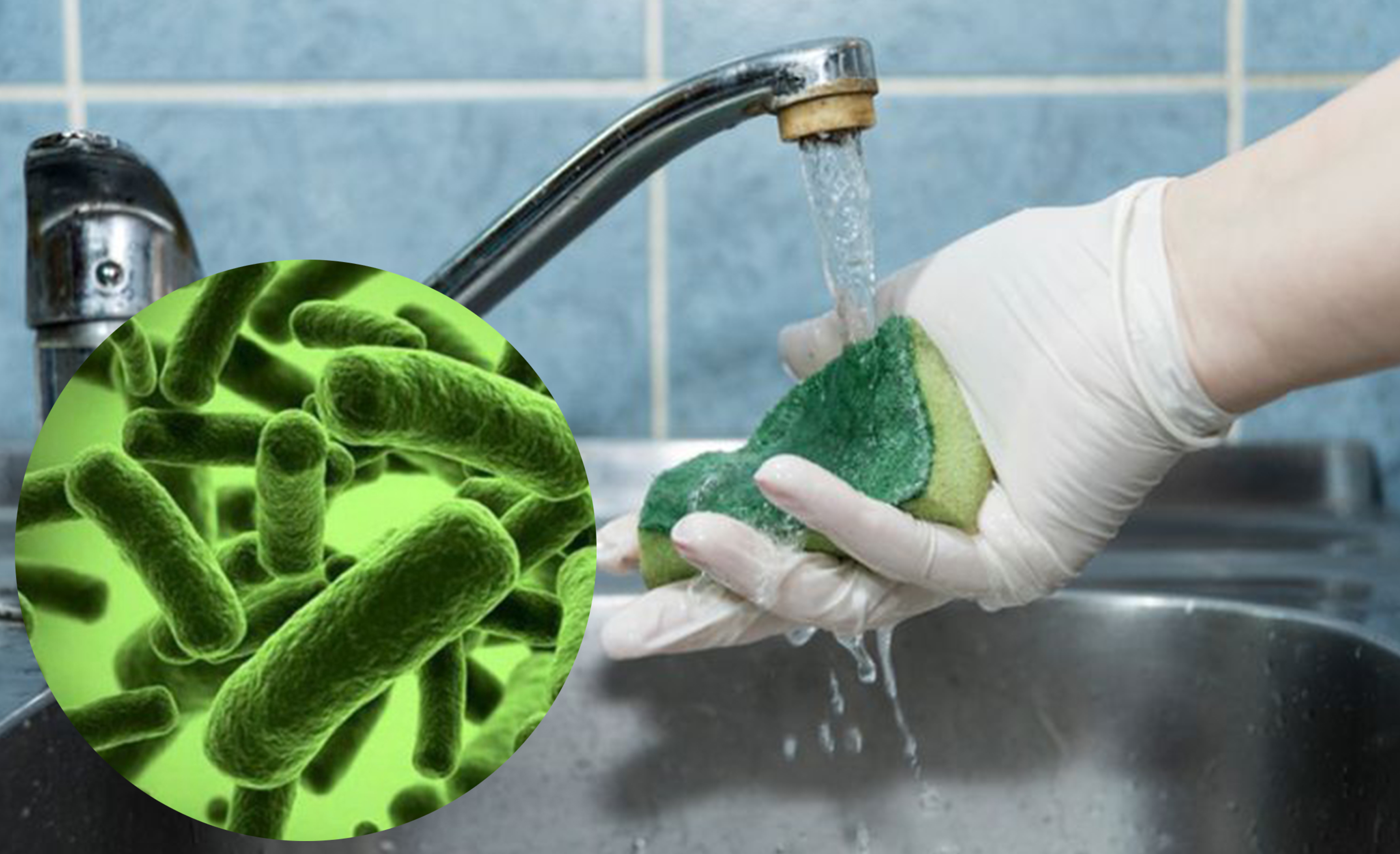 spon dapur. (foto: dok ngobar)