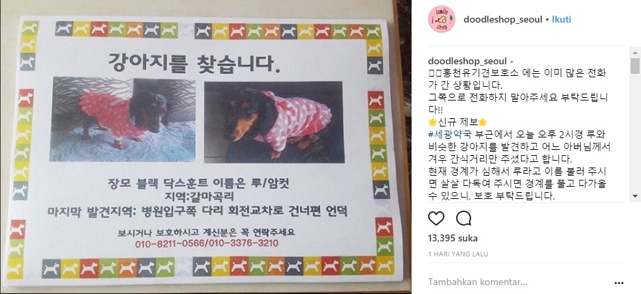 Pengumuman mengenai anjing kesayangan milik mediang Jonghyun yang hilang. (Instagram)
