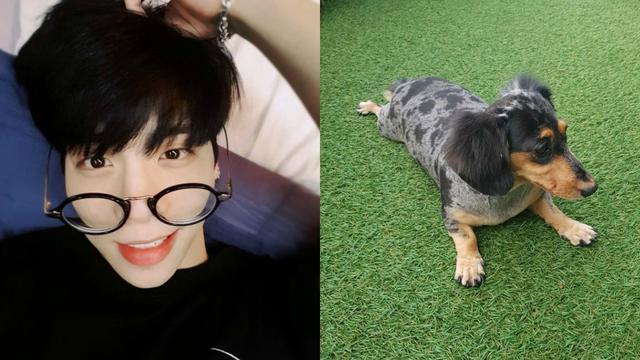 Mendiang Jonghyun 'SHINee' dan anjing kesayangannya. (Foto: Kolase)