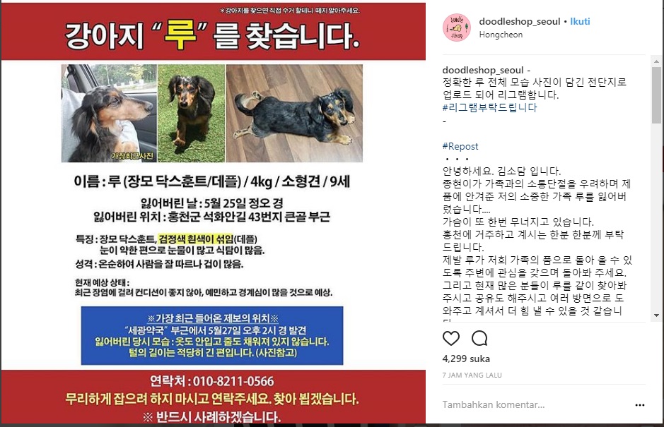 pengumuman mengenai anjing Jonghyun yang hilang. (Instagram)