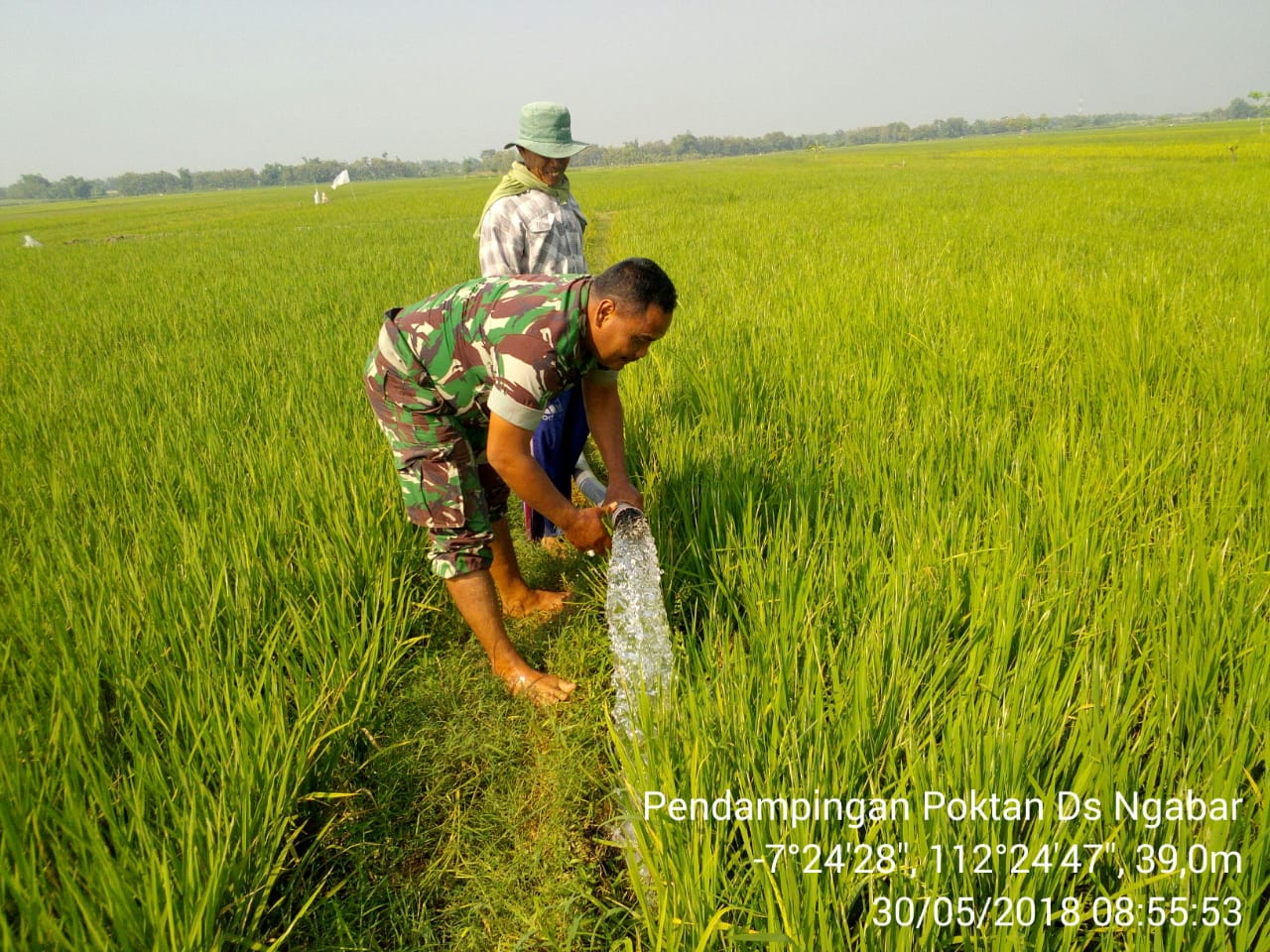 Poktan Margo Rukun, Dusun Ngabar Desa Ngabar Kecamatan Jetis Kabupaten Mojokerto, Saat Mengairi Sawah