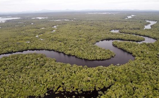 Salah satu sungai di Papua. Foto : Greenpeace