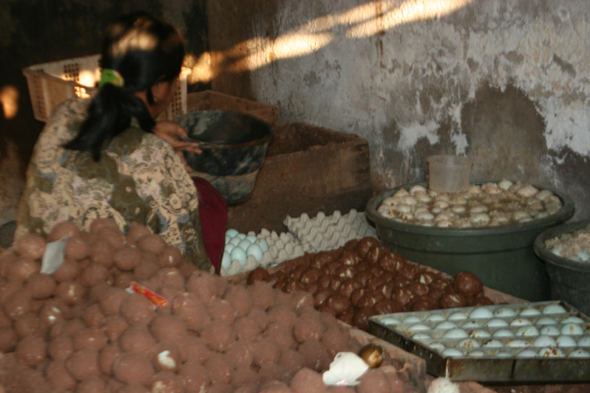 Telur-telur diasinkan terlebih dahulu sebelum diproses dalam tingkatan lanjut. foto:widikamidi 