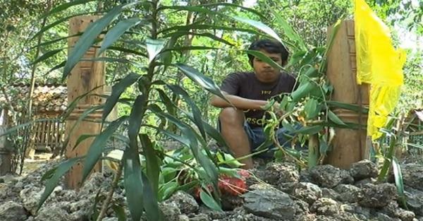 Masrukan, calon suami berziarah ke makam Warsilah di Desa Sumberjosari, Karangrayung, Grobogan, Jawa Tengah. foto: inews.id