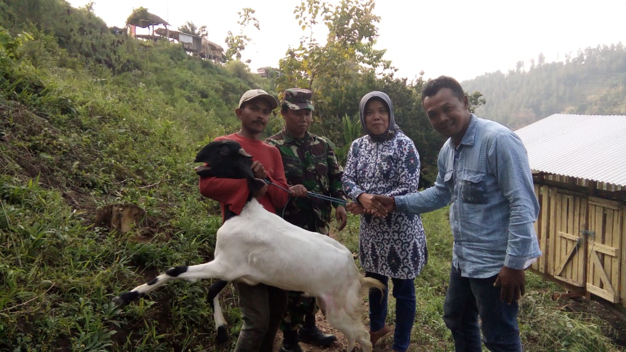 Kelompok Ternak Mendo Joyo Desa Jembul Terima Bantuan Kambing Ternak