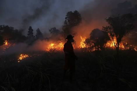 Kebakaran lahan. Foto : Antara