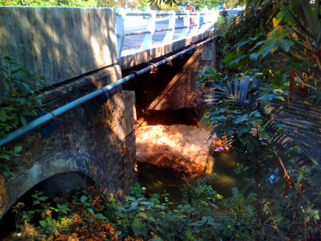 Jembatan Ngabungan, Singgahan, Tuban Jawa Timur. (Foto: istimewa)