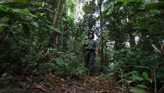 Patroli Polisi Hutan. Foto : Antara