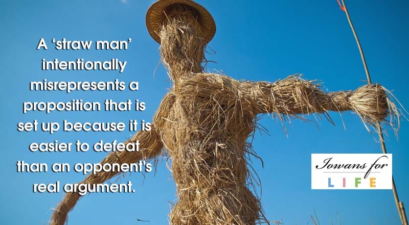 MEMEDI SAWAH: "Straw man" adalah orang-orangan yang biasa dipakai petani di sawah untuk menakut-nakuti "manuk emprit". (foto: uba for ngopibareng.id). 