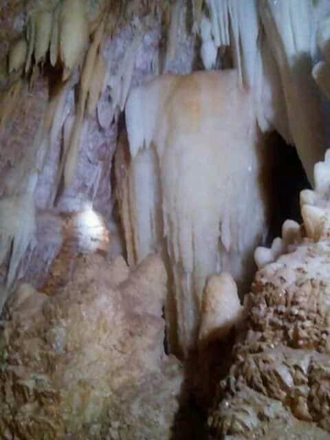 Penemuan gua di Dusun Krajan, Desa Jadi, Kecamatan Semanding, Kabupaten Tuban,. (Foto: Istimewa)