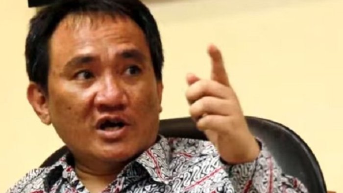 Wakil Sekjen Partai Demokrat, Andi Arief