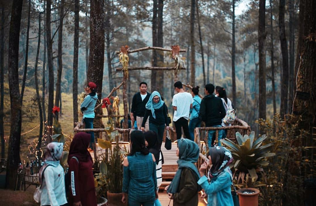 Hutan pinus Cikole yang makin tampil beda. foto:genpi.co