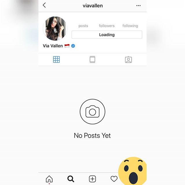 Akun Via Vallen yang tiba-tiba menghilang. (Instagram)