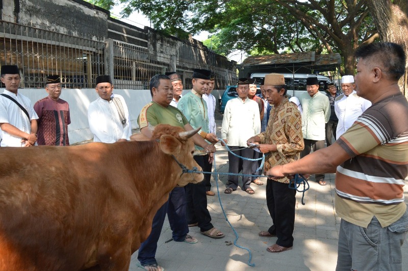 Dandim 0815 Saat Menyerahkan Hewan Qurban Kepada Panitia