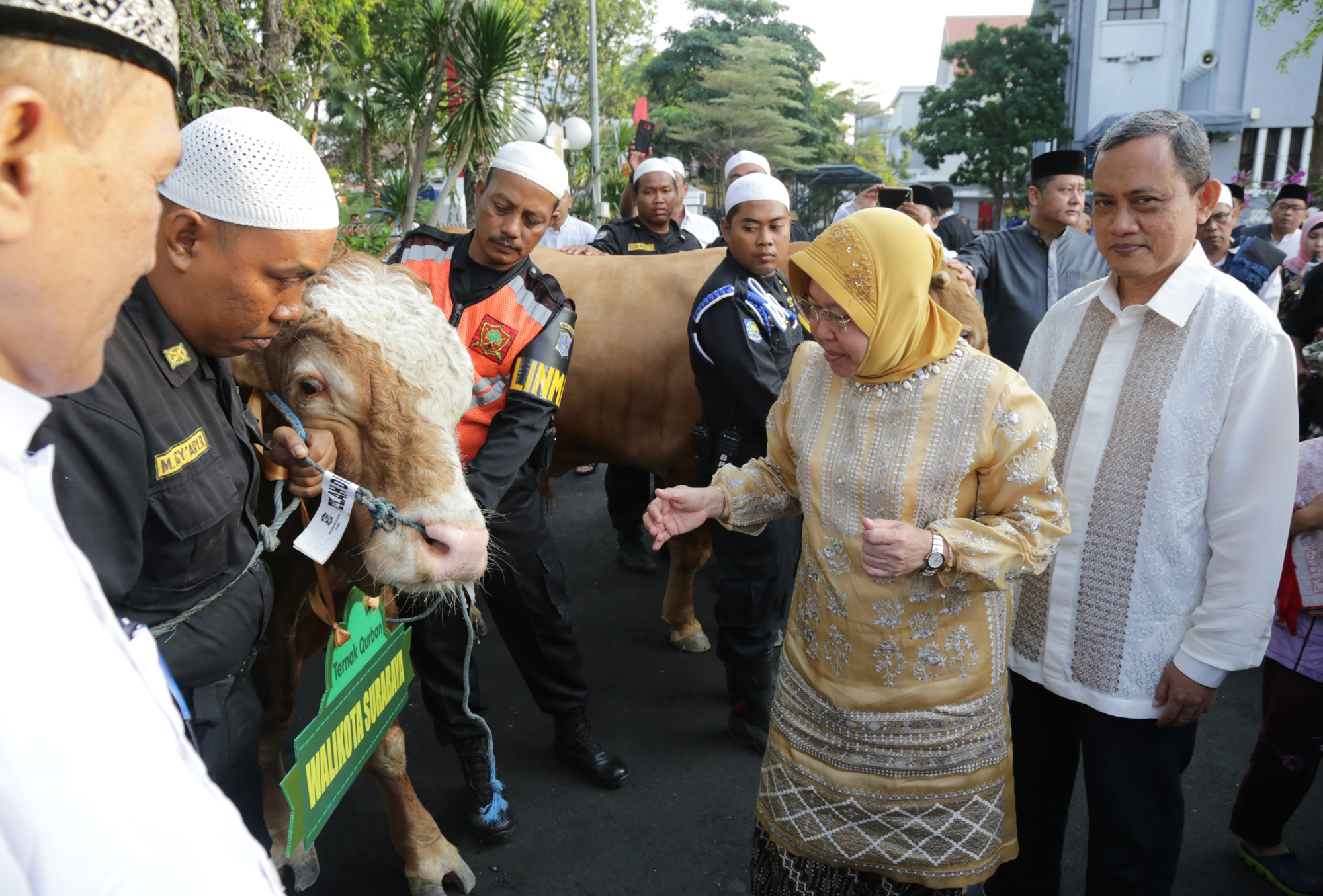 Wali Kota Risma saat menyerahkan hewan qurban di Taman Surya Balai Kota Surabaya, Rabu, 22 Agustus 2018. (foto: farid/ngopibareng.id) 