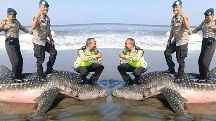 Tiga polisi selfie di atas bangkai hiu paus. Foto : Istimewa