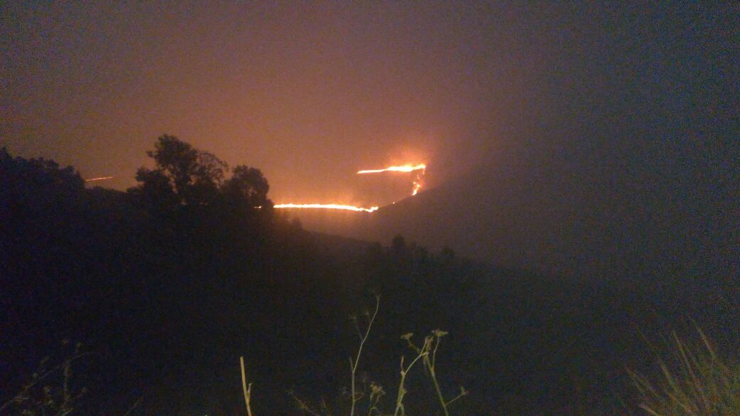 Situasi savana bromo terbakar. (Foto: Istimewa)