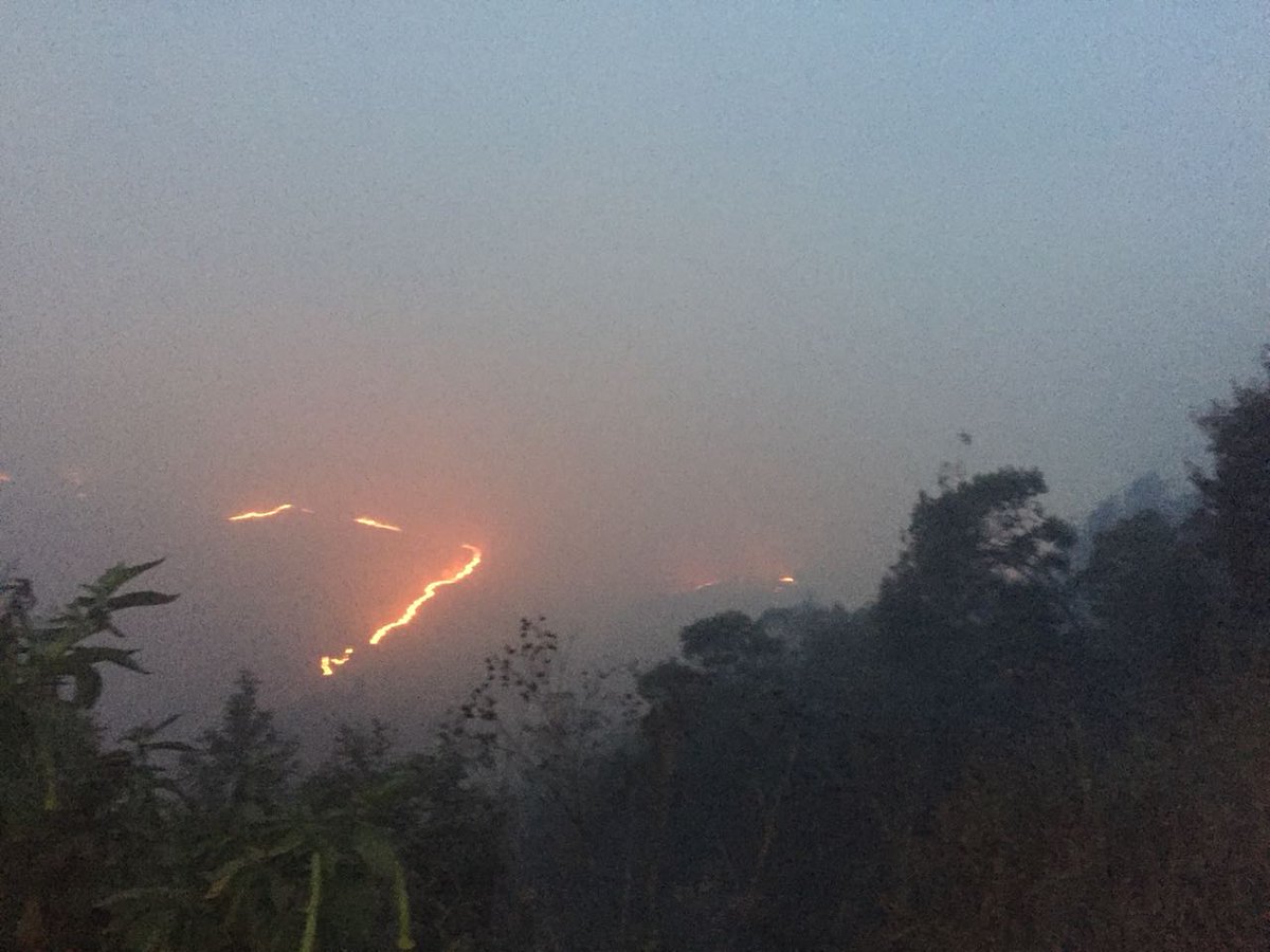 Kawasan savana Bromo yang terbakar. (Foto: IStimewa)