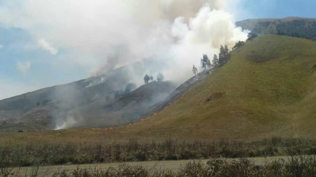 Kawasan padang savana tepatnya di Bukit Teletubbies dan Gunung Watangan sejak Sabu, 1 September 2018 itu hingga Minggu sore, 2 September 2018 belum juga padam. (Foto: Ikhsan/ngopibareng.id)