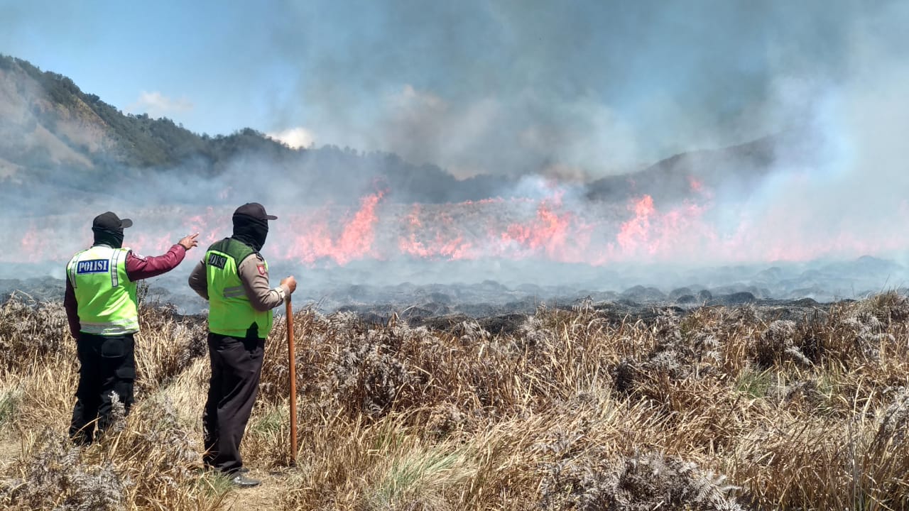 Kawasan padang savana tepatnya di Bukit Teletubbies dan Gunung Watangan sejak Sabu, 1 September 2018 itu hingga Minggu sore, 2 September 2018 belum juga padam. (Foto: Ikhsan/ngopibareng.id)