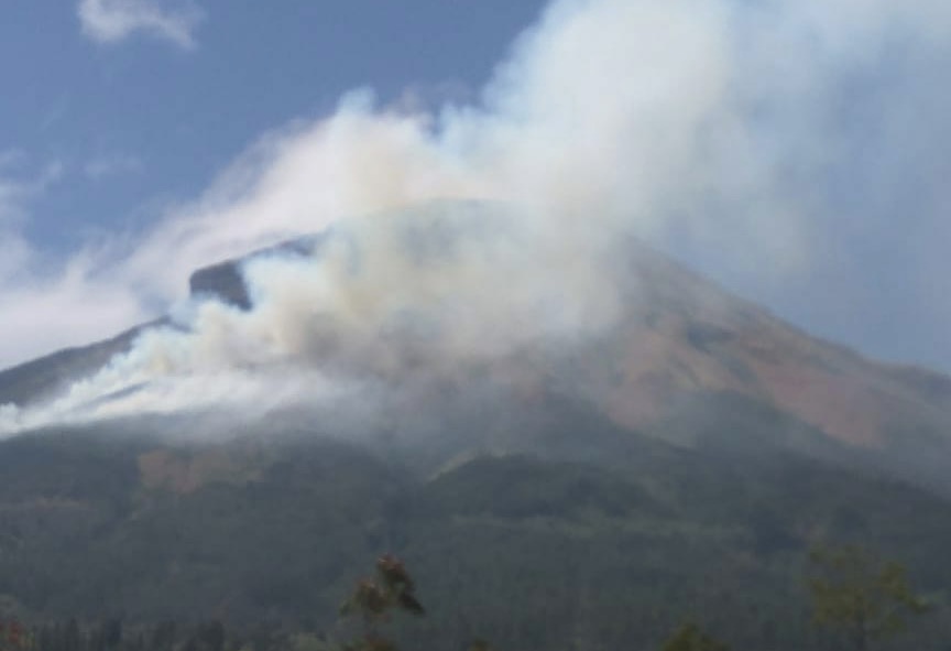 Asap menyelimuti kawasan hutan Gunung Sundoro. Foto : BNPB