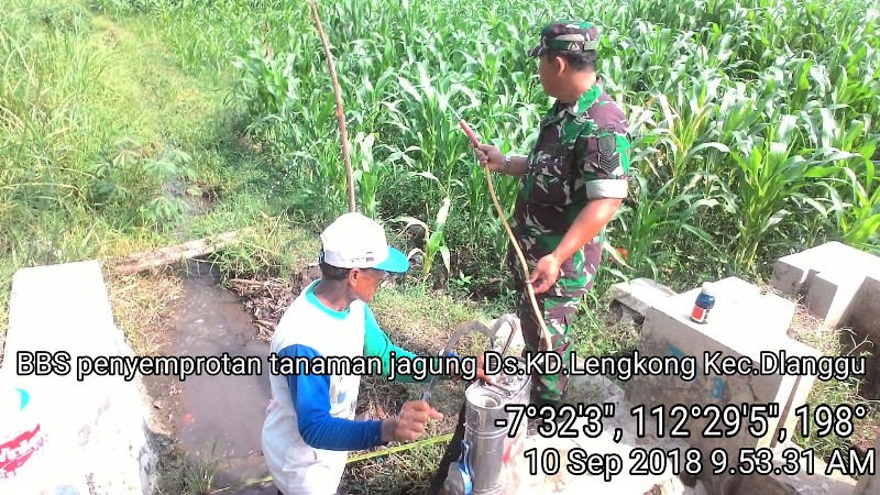 Babinsa Koramil Dlanggu Dampingi Penyemprotan Tanaman Jagung