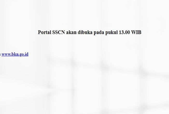 Tangkapan layar https://sscn.bkn.go.id/