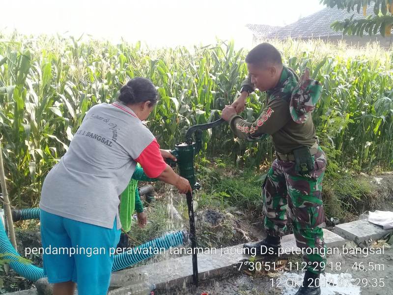 Babinsa Peterongan Sertu Abdul Khair Bantu Petani Pengairan Tanaman Jagung