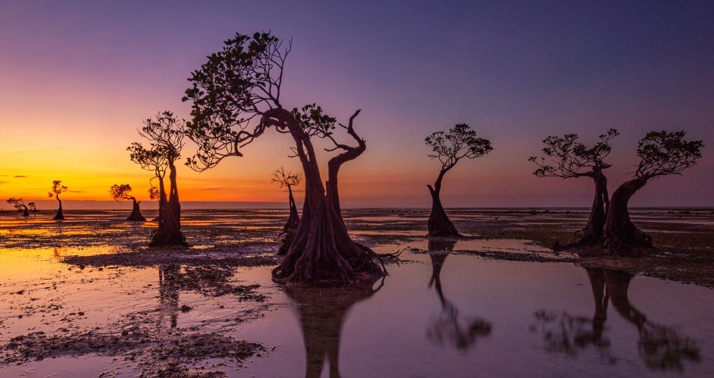 Gambar: Pantai Walakiri, Sumba Timur (shutterstock.com)